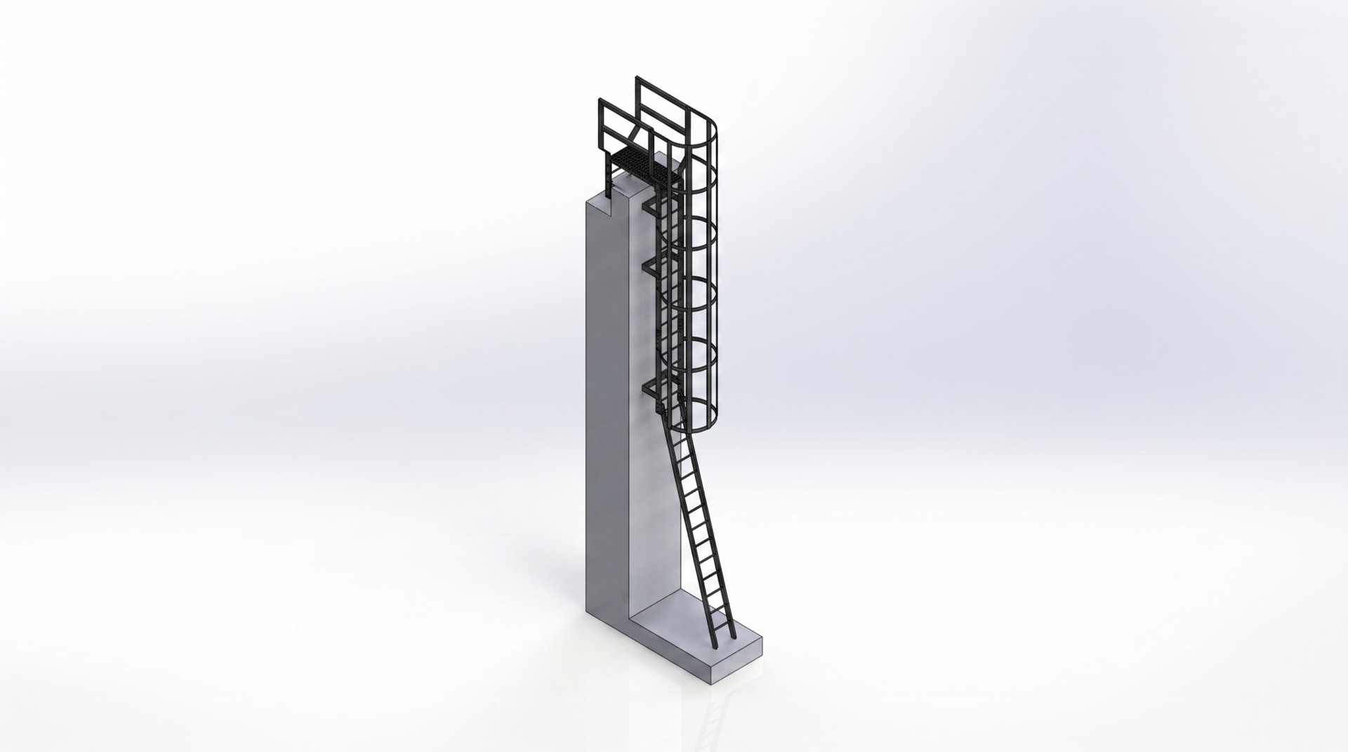 Caged Roof Access Ladder