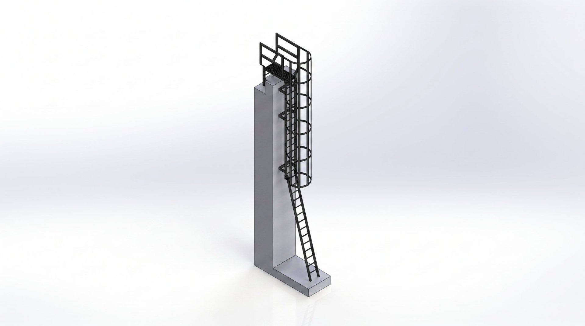 Caged Roof Access Ladder